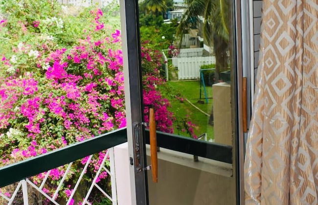 New Kingston Guest Apartment At Chelsea - Foto 8