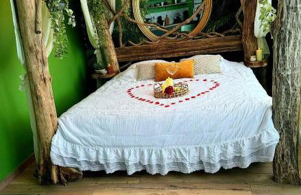 La jungle insolite, SPA, Écran cinéma, Lit à baldaquin king size, day use, 10 min centre - Foto 14