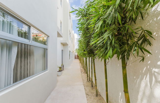 Studiotel Cancún - Foto 49