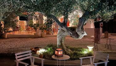 Masseria Trulli&Stelle B&B - Foto 5