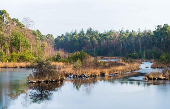 Chalet by Park Pond in the Netherlands - Photo 33