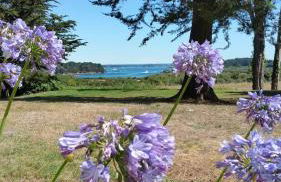 Maison familiale en bord de mer - Foto 7