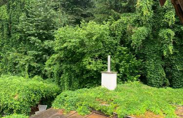 Ferienwohnung Schatzkisterl - Foto 25