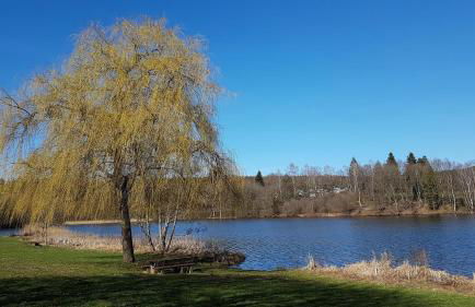 Ferienwohnung Schneider - Foto 21