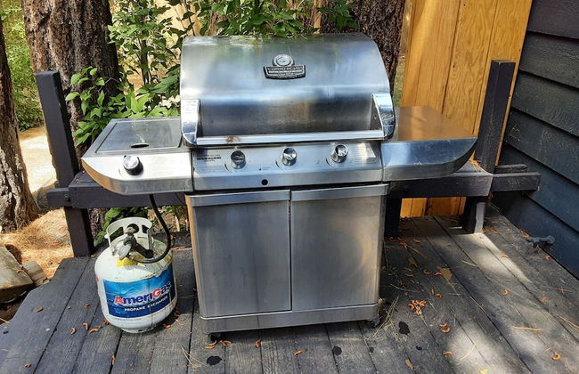 Bearadise - Photo 19