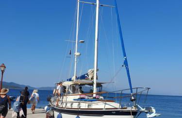 Villa Panorama Garden Chorto - Foto 44