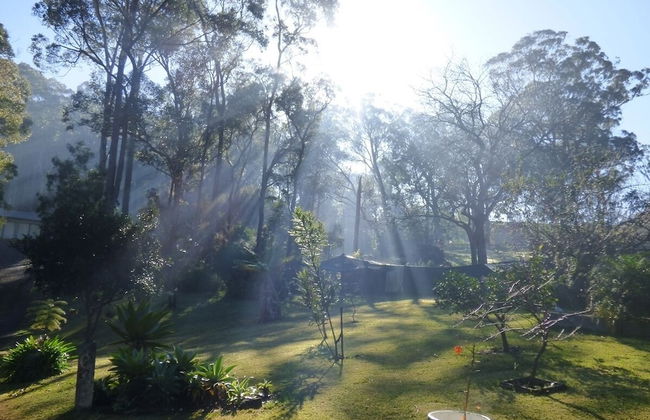 Werekataba - Foto 30