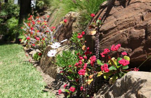 Top Apartment in Los Jardines de las Golondrinas - Photo 21