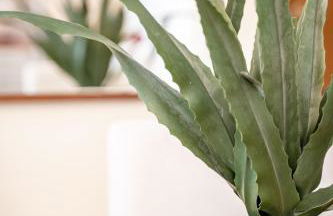 Koropi 3 bedroom Luxurious Apartment 5 pers- Angel House - Foto 11