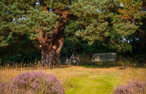 Inveroykel Lodge at Rosehall - Foto 25