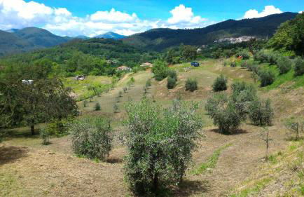 Agriturismo Tenuta Valletti. - Foto 69