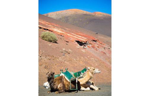 Villa Gaida - Foto 49