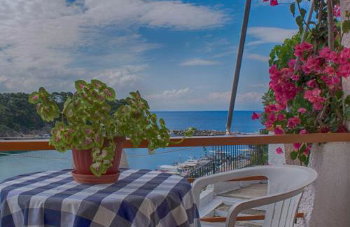 Pension Dimitris - Photo 2