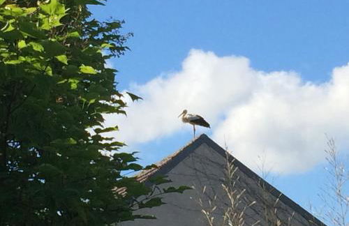 Kranichhof - Studio, Loft & Atelier - Photo 38