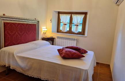 Podere la Fonte Vernaccia & Zafferano - Foto 30