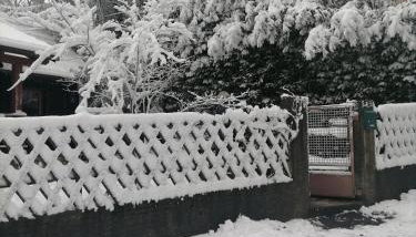 Cabin In The Woods Vukelic - Foto 3