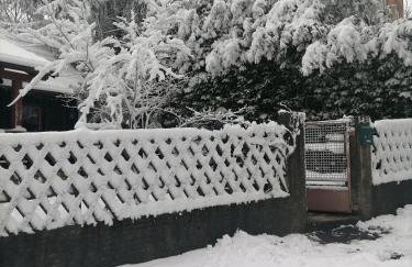 Cabin In The Woods Vukelic - Photo 3