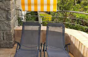 Camélia Plein Soleil Bord de Plage - Photo 19