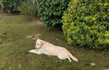 Casa di Bimba - Foto 17