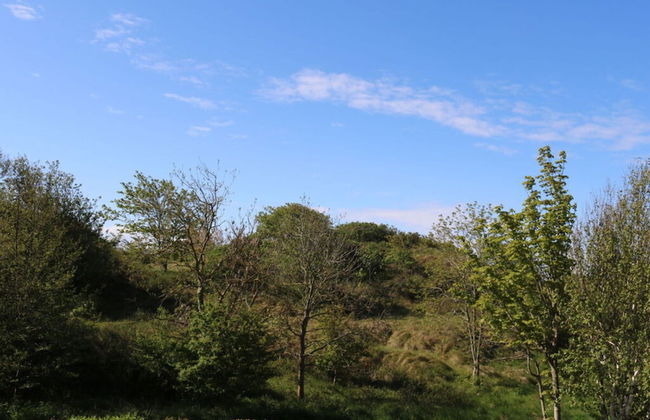 Borkum Ideal 71 A Comfortable Holiday Residence - Foto 22