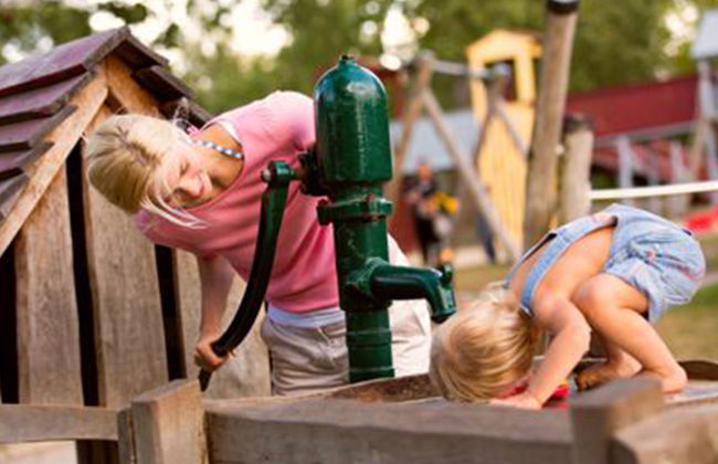 Seeschwalbe - Foto 18