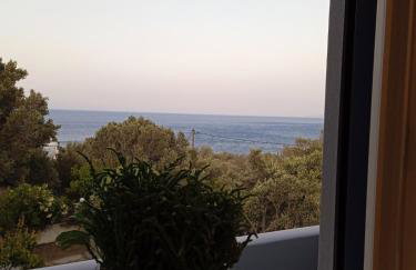 Santa Rosa house - Foto 16