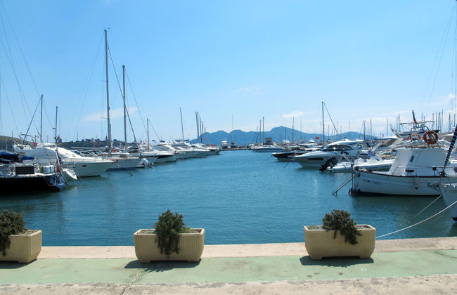 Ullastro Pollença - Foto 42