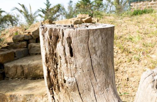 Kotroni Villas - Foto 80