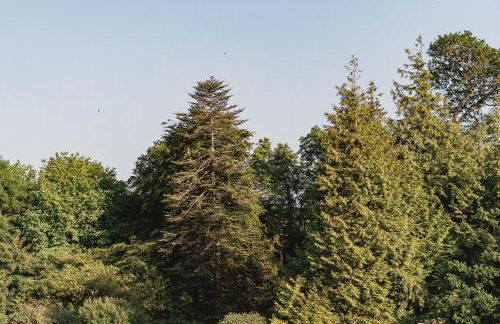 Trewhiddle Retreat V31 by Together Travel - Luxury 3-Bedroom Villa - Foto 49