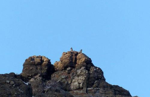 Spacious and Open Cabin Rental on Stillwater River near Billings, Montana - Foto 22