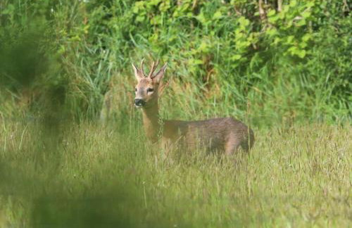 1 Bed in Umberleigh oc-55321 - Foto 23