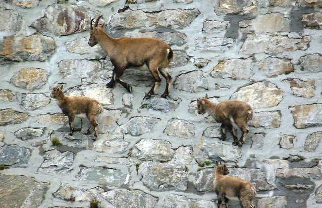 Dimora Storica Casa Vanni - Foto 30
