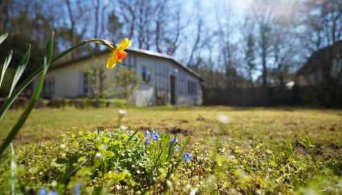 Gartenhaus in Potsdam Wilhelmshorst - Foto 3, Garden, Garden view