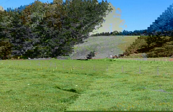 Cabañas ecológicas - Foto 42