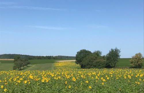 Souterrain Ferienwohnung - Foto 29
