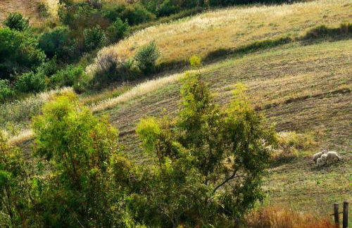 Agriturismo Villa Dafne - Foto 112