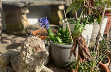 Liverpool Coco House - 3 Bedrooms - Foto 63