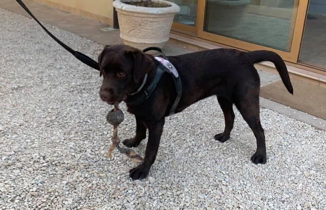 Setter House Agri Hotel - Foto 78