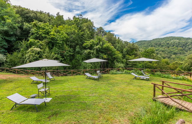 Fiordaliso - Foto 35