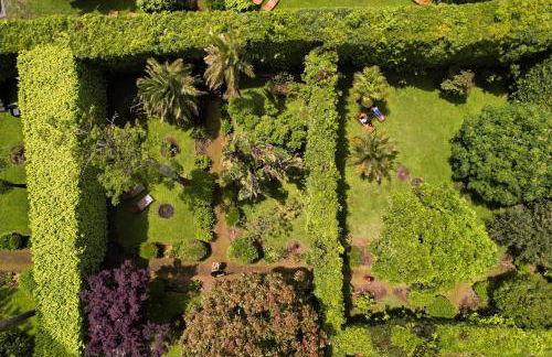 Azores Green Villas - Photo 25