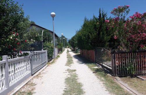 Apartman Nin-Dodo - Foto 37