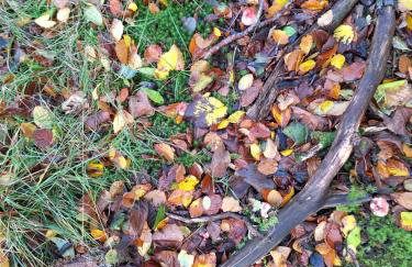 Ryan's Cottage - Photo 58