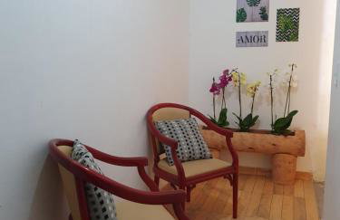 Conchas de Maragogi - Foto 18