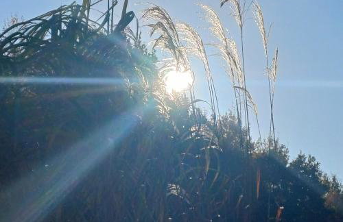 Cicha przystań domek na Kaszubach - Foto 52