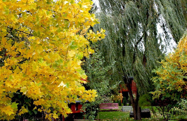 Cottage in Dlugosiodlo Near Forest Edge - Photo 51