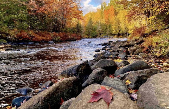 St-Sauveur Lovely Studio - Photo 64