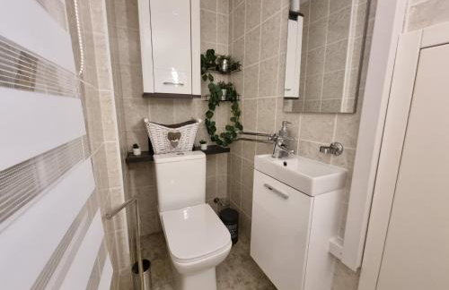 Holiday Home mit privatem Pool und Sauna by Interhome - Foto 55