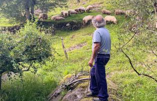 Casa Rural Goikola - Foto 54