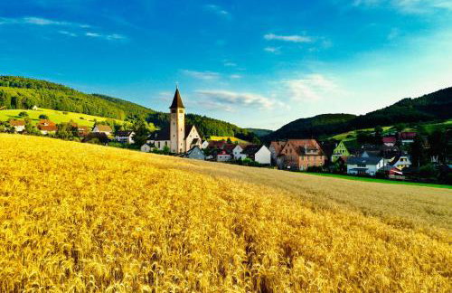Ferien im Schwarzwald Dörlinbach - Photo 12