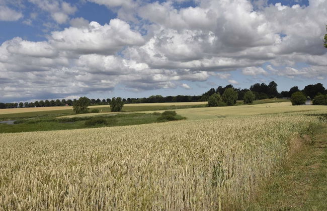 Wohnung in Garz mit Liegewiese - Foto 26